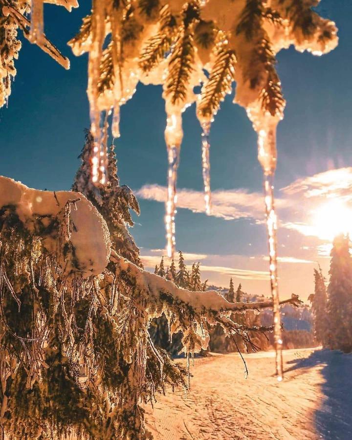 Sans Lux Apartman N42 Milmari Kopaonik Esterno foto