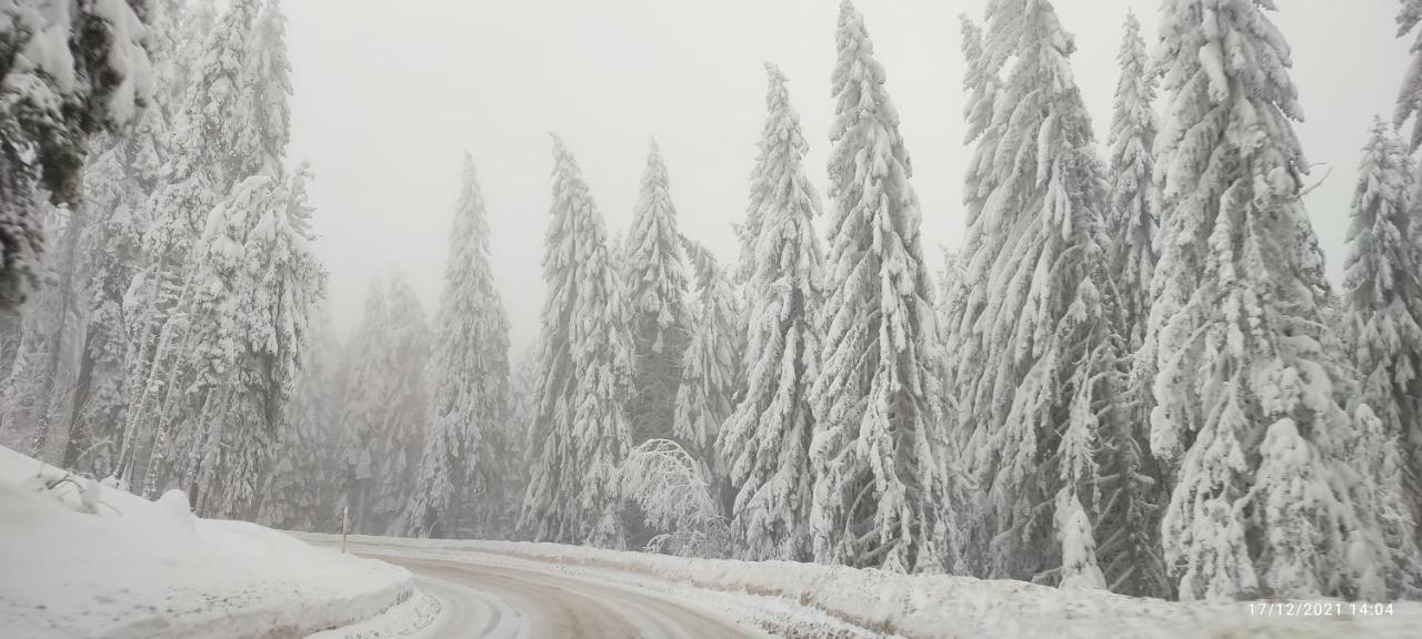 Sans Lux Apartman N42 Milmari Kopaonik Esterno foto