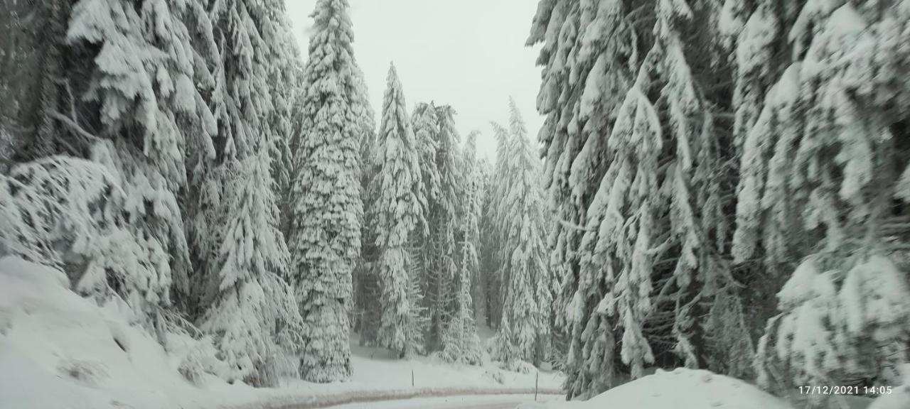 Sans Lux Apartman N42 Milmari Kopaonik Esterno foto