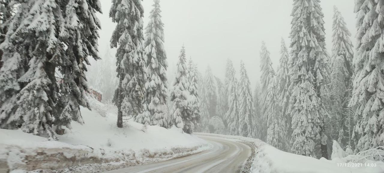 Sans Lux Apartman N42 Milmari Kopaonik Esterno foto